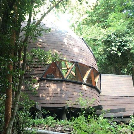 Appartement Domos Hijos Del Bosque à Coñaripe Extérieur photo