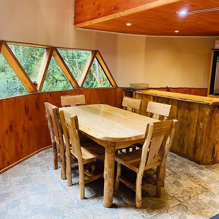 Appartement Domos Hijos Del Bosque à Coñaripe Extérieur photo