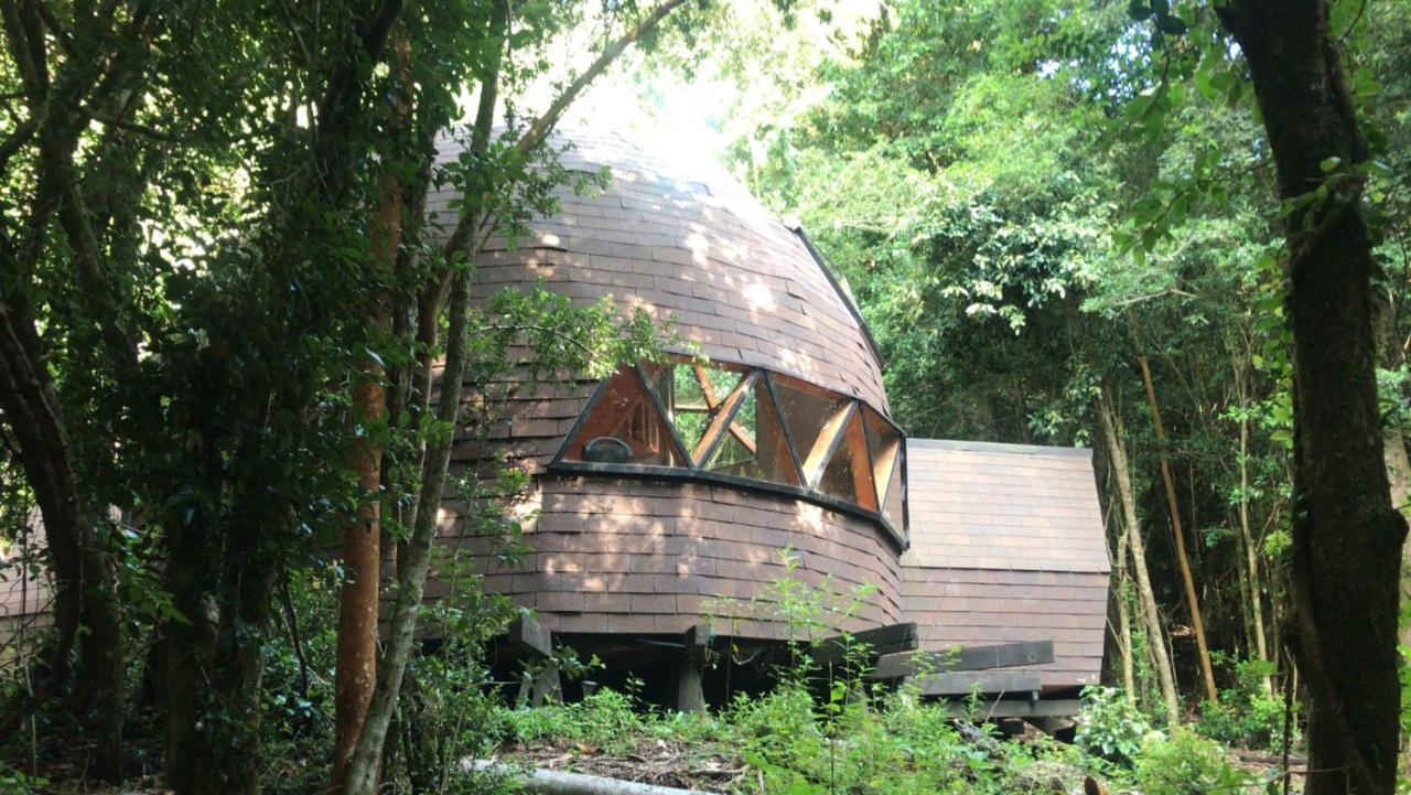 Appartement Domos Hijos Del Bosque à Coñaripe Extérieur photo