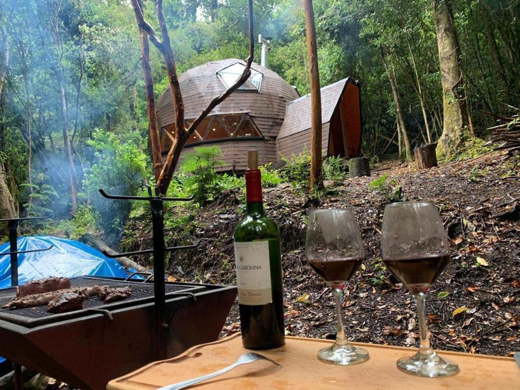 Appartement Domos Hijos Del Bosque à Coñaripe Extérieur photo