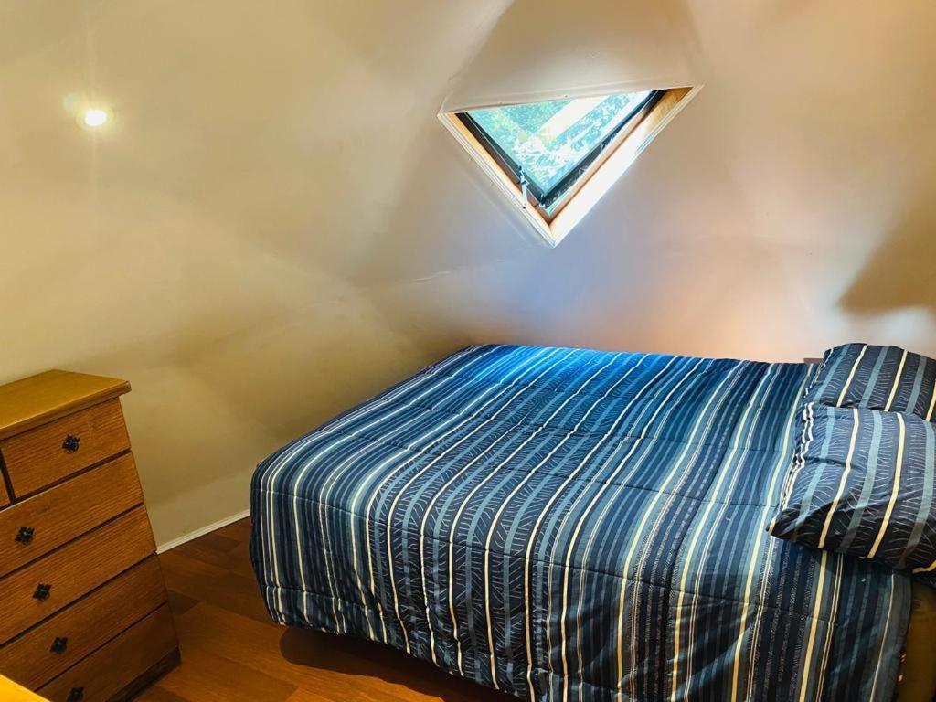 Appartement Domos Hijos Del Bosque à Coñaripe Extérieur photo