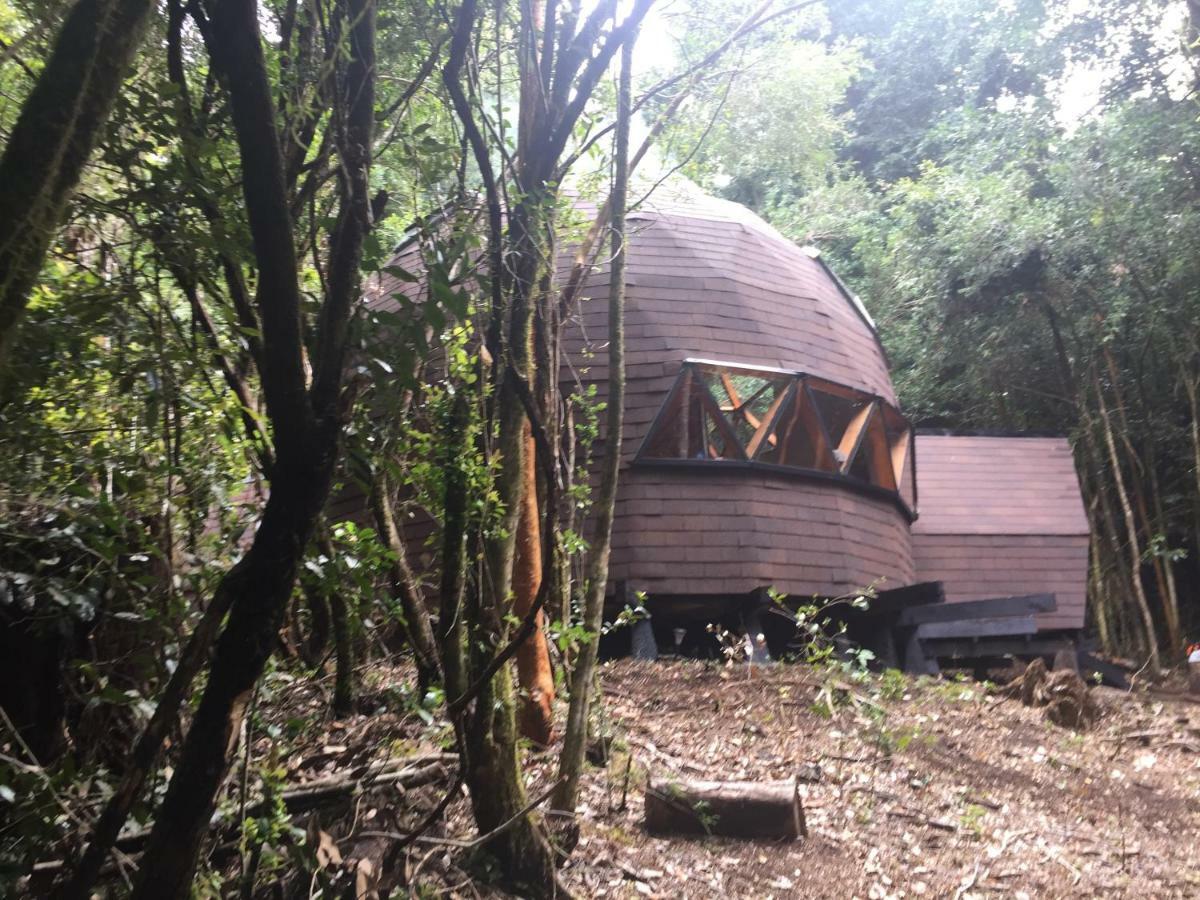 Appartement Domos Hijos Del Bosque à Coñaripe Extérieur photo