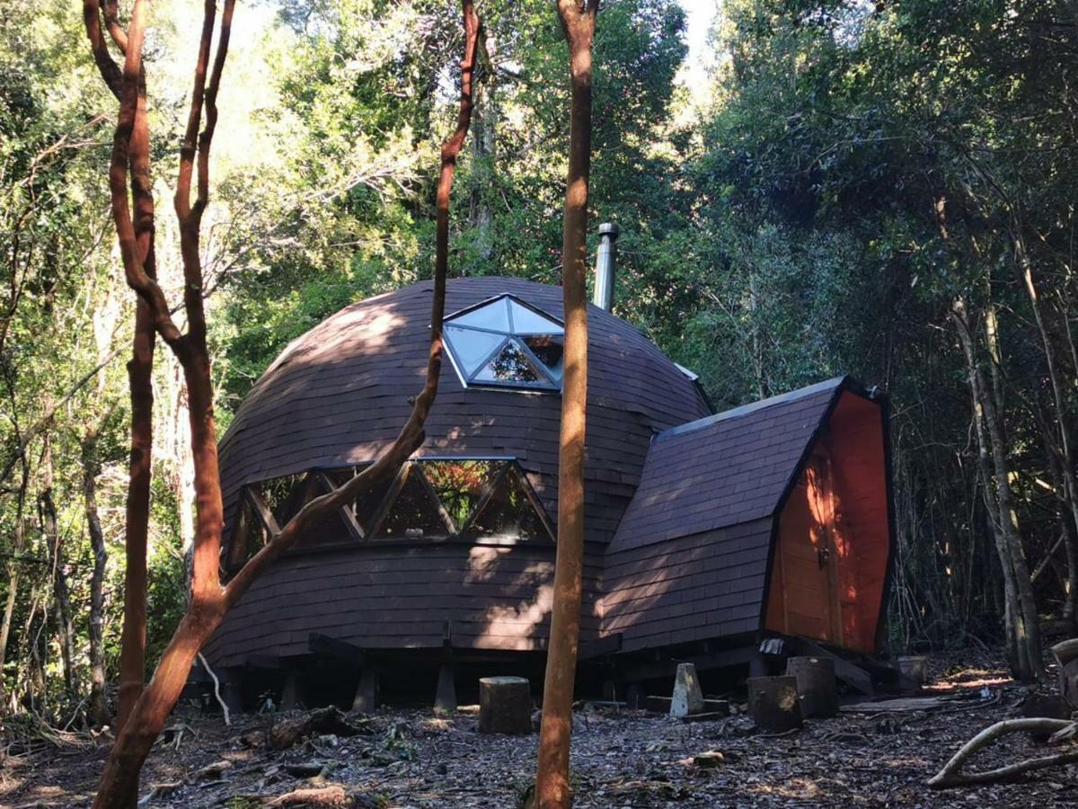 Appartement Domos Hijos Del Bosque à Coñaripe Extérieur photo